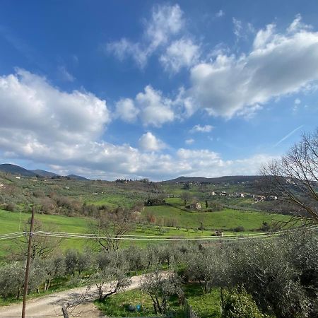 La Casa Di Diana Villa Montecchio  Exteriör bild